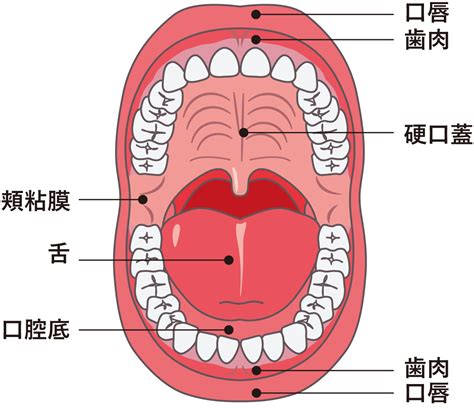 口 meaning